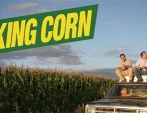 “King Corn” Movie Review
